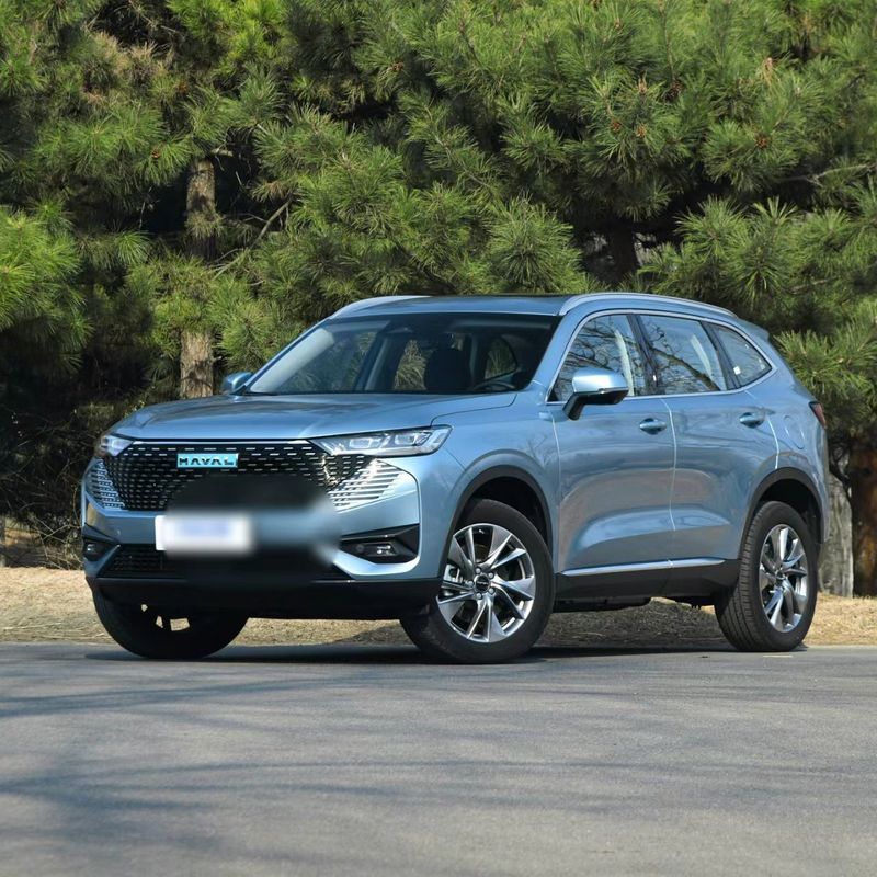 -Made Changcheng Haval H6 Energy 2023 DHT-PHEV 110km Compact SUV 5 Doors 5 Seats Good