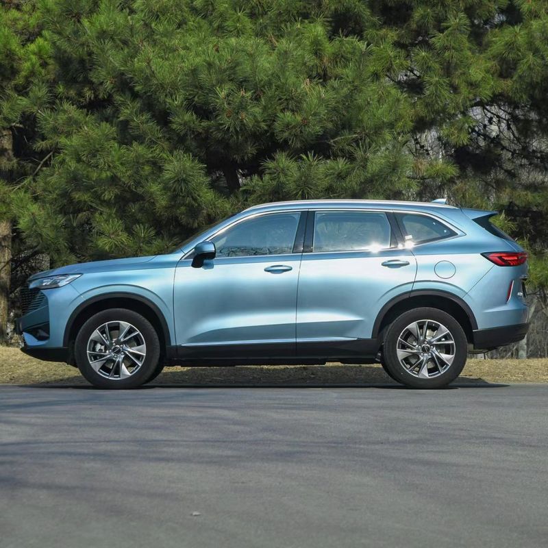 -Made Changcheng Haval H6 Energy 2023 DHT-PHEV 110km Compact SUV 5 Doors 5 Seats Good