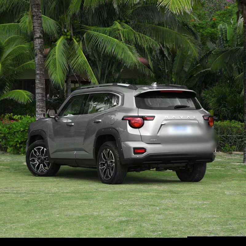 Changcheng Haval H-DOG energy 2023 DHT-PHEV ABS 50km SUV 5 doors 5 seats ABS made good