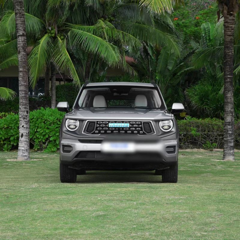 Changcheng Haval H-DOG energy 2023 DHT-PHEV ABS 50km SUV 5 doors 5 seats ABS made good
