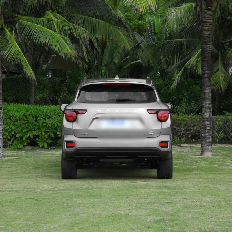 Changcheng Haval H-DOG energy 2023 DHT-PHEV ABS 50km SUV 5 doors 5 seats ABS made good